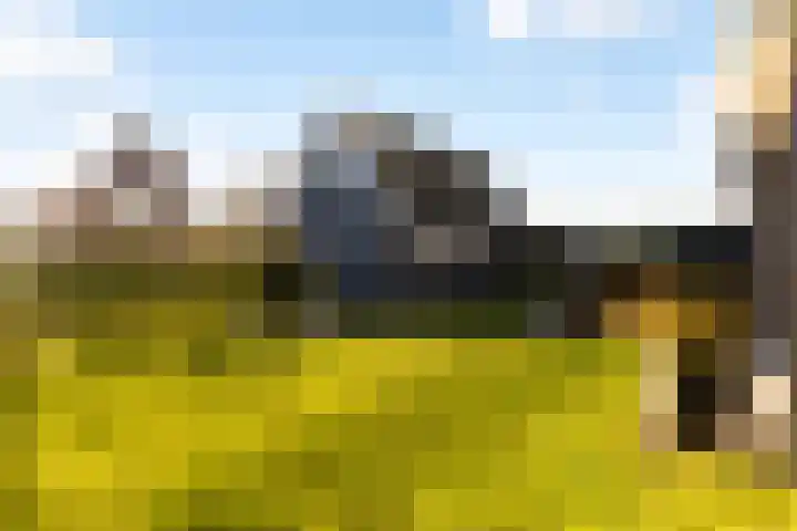 Het Sparrenbos 44 Apeldoorn thumbnail 57