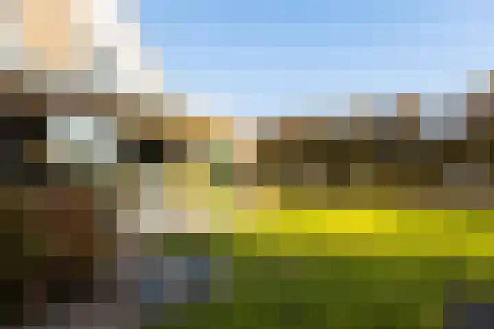 Het Sparrenbos 44 Apeldoorn thumbnail 58
