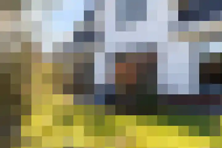 Het Sparrenbos 44 Apeldoorn thumbnail 59