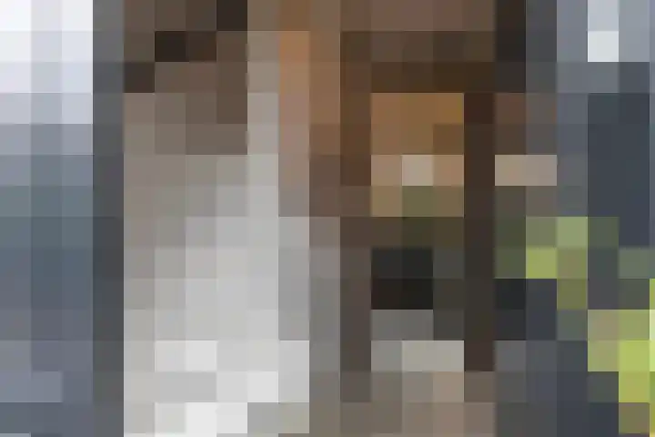 Het Sparrenbos 44 Apeldoorn thumbnail 6