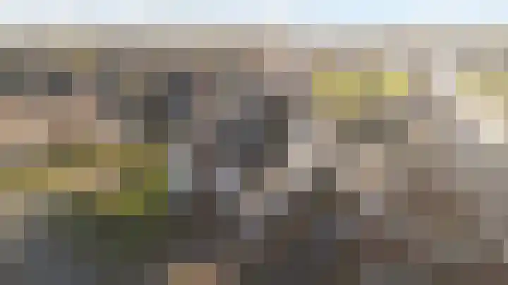Het Sparrenbos 44 Apeldoorn thumbnail 61