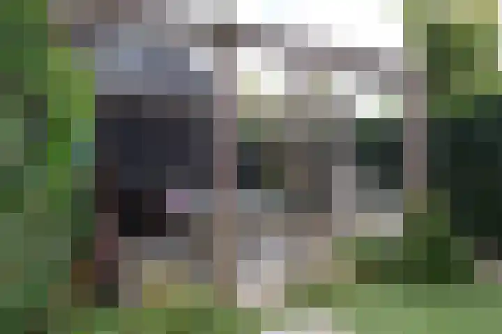 Het Sparrenbos 47 Apeldoorn thumbnail 18
