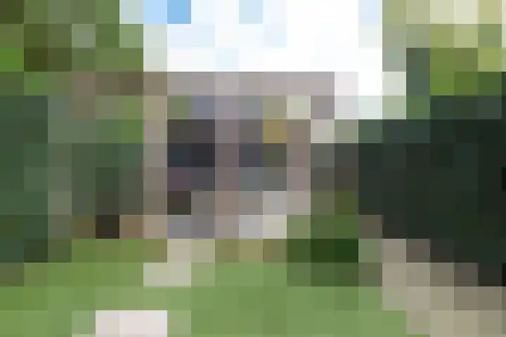 Het Sparrenbos 47 Apeldoorn thumbnail 20