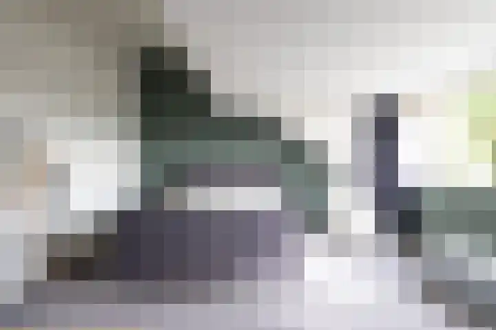 Het Sparrenbos 47 Apeldoorn thumbnail 30