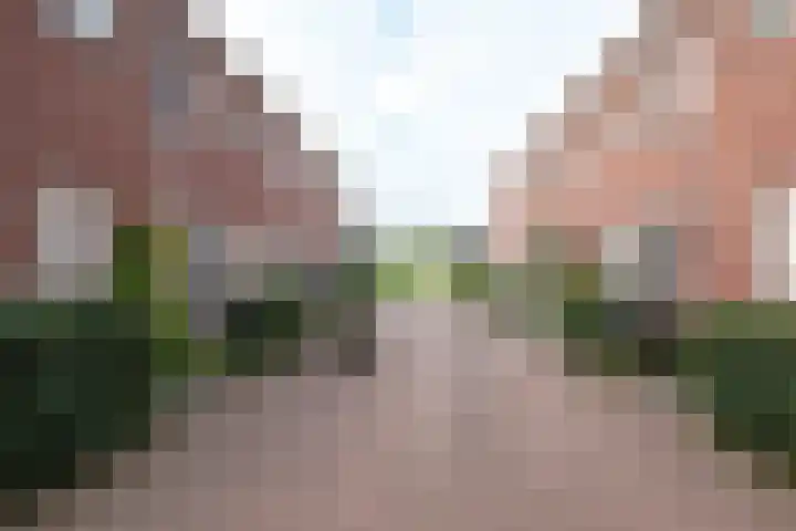 Het Sparrenbos 47 Apeldoorn thumbnail 36