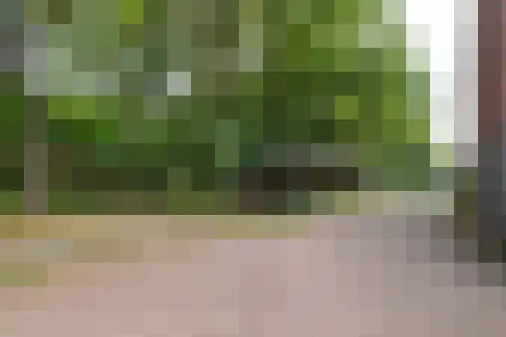 Het Sparrenbos 47 Apeldoorn thumbnail 37