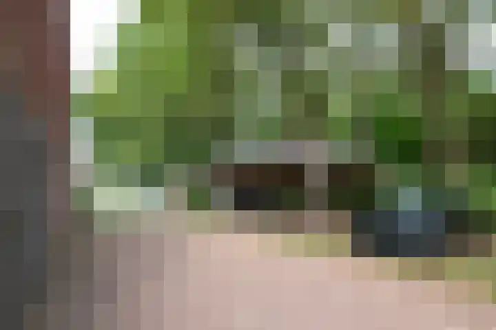 Het Sparrenbos 47 Apeldoorn thumbnail 38