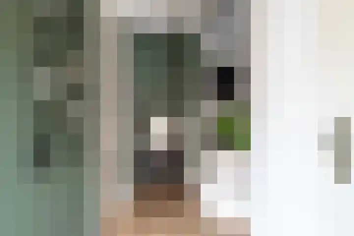 Het Sparrenbos 47 Apeldoorn thumbnail 5