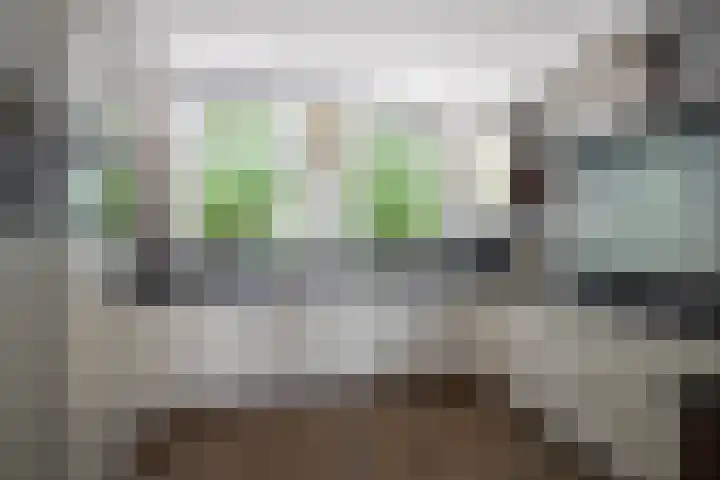 Het Sparrenbos 63 Apeldoorn thumbnail 12