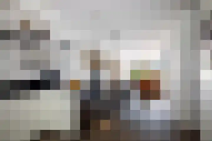 Het Sparrenbos 63 Apeldoorn thumbnail 13