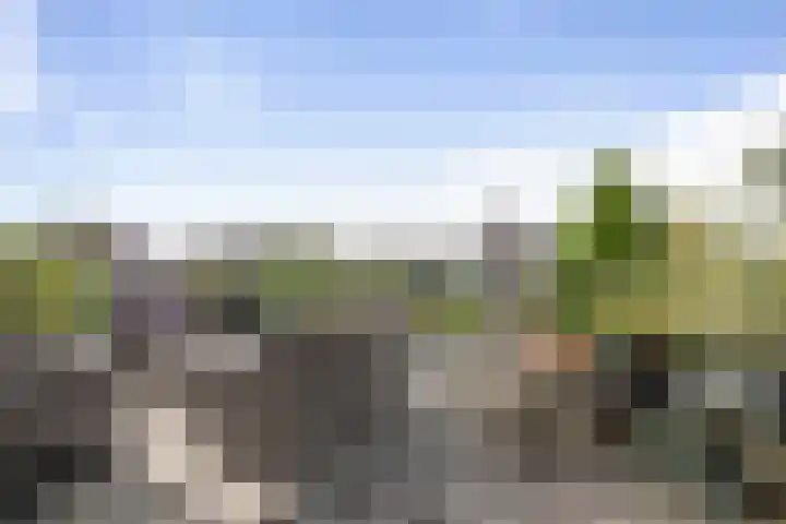 Het Sparrenbos 63 Apeldoorn thumbnail 19