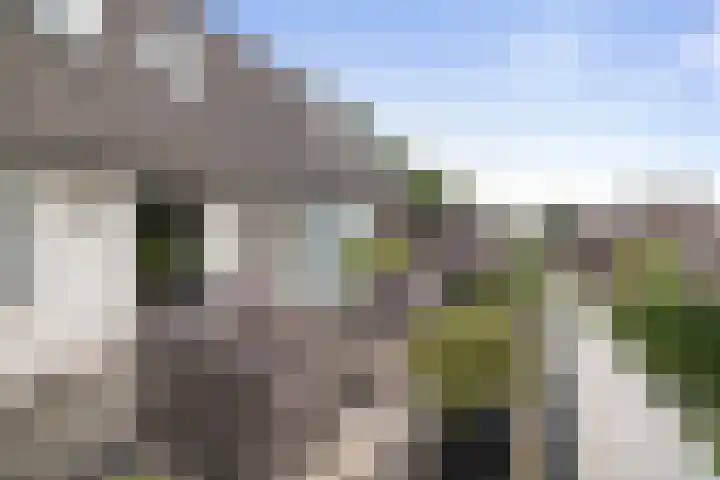 Het Sparrenbos 63 Apeldoorn thumbnail 20