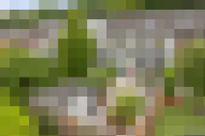 Het Sparrenbos 63 Apeldoorn thumbnail 35