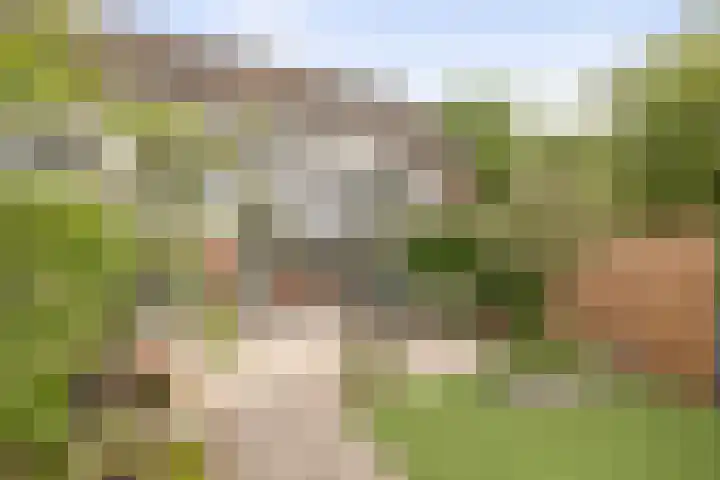 Het Sparrenbos 63 Apeldoorn thumbnail 36