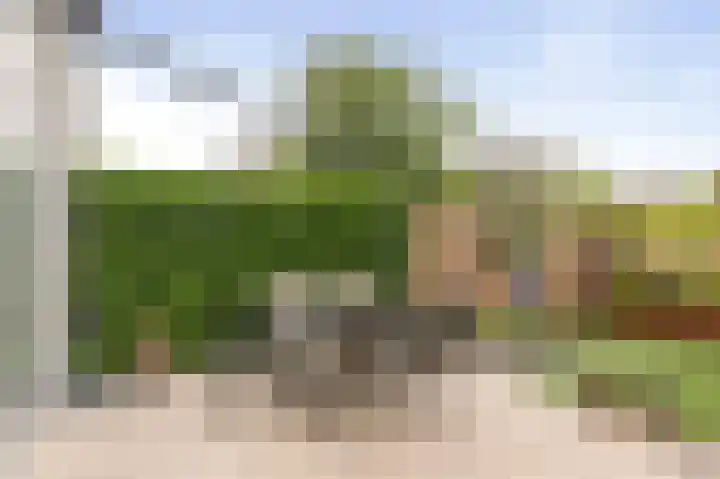 Het Sparrenbos 63 Apeldoorn thumbnail 38