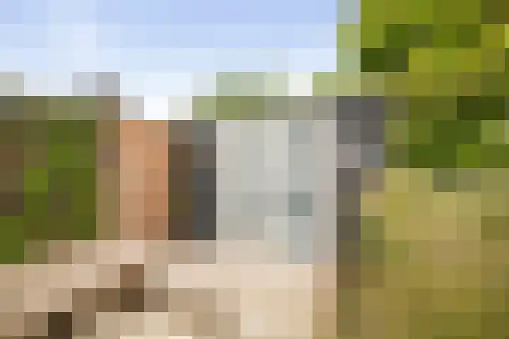 Het Sparrenbos 63 Apeldoorn thumbnail 40
