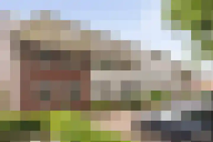 Het Sparrenbos 63 Apeldoorn thumbnail 42
