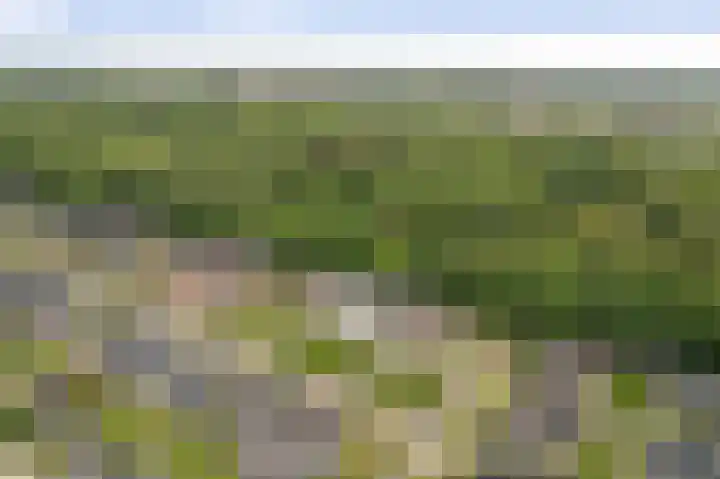 Het Sparrenbos 63 Apeldoorn thumbnail 44