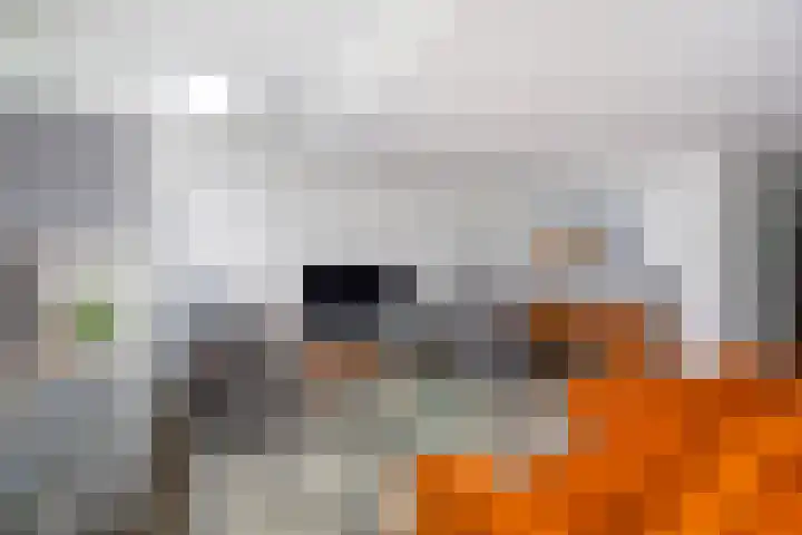 Het Sparrenbos 63 Apeldoorn thumbnail 5