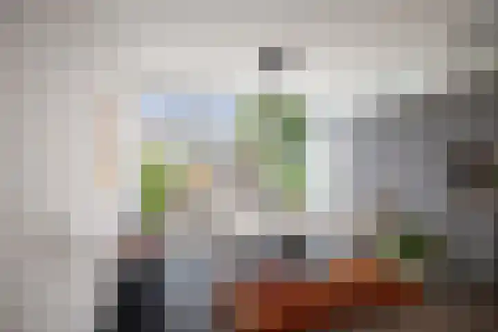 Het Sparrenbos 63 Apeldoorn thumbnail 7