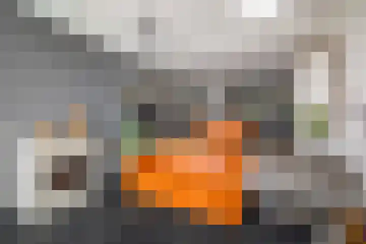 Het Sparrenbos 63 Apeldoorn thumbnail 8
