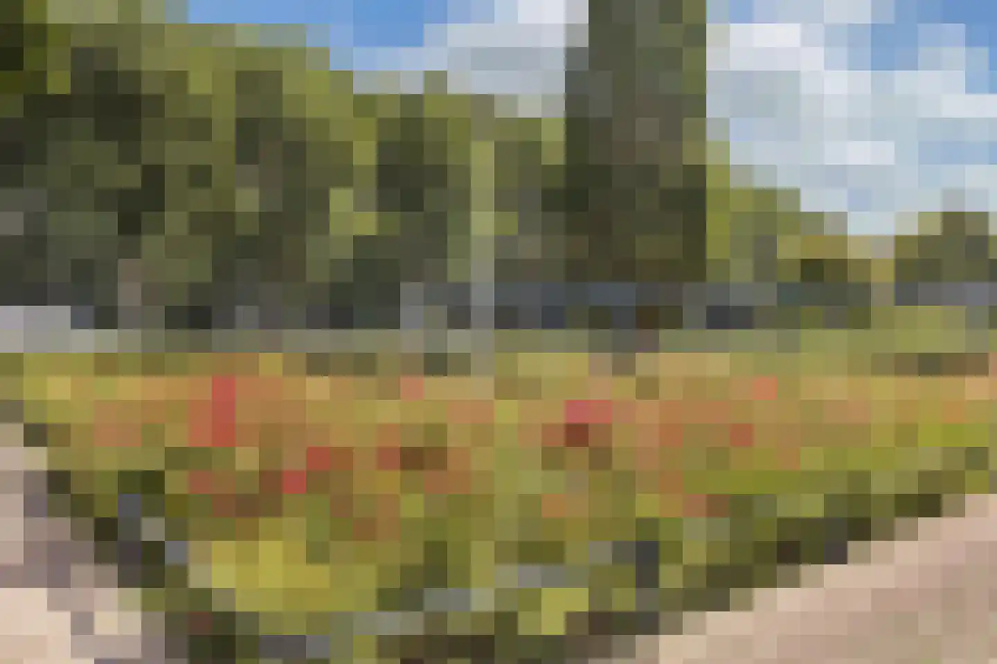 Het Spectrum 116 Dronten thumbnail 11