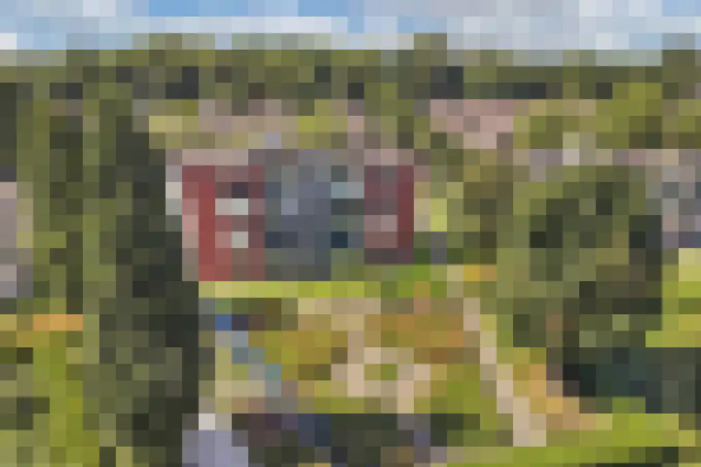 Het Spectrum 116 Dronten thumbnail 13