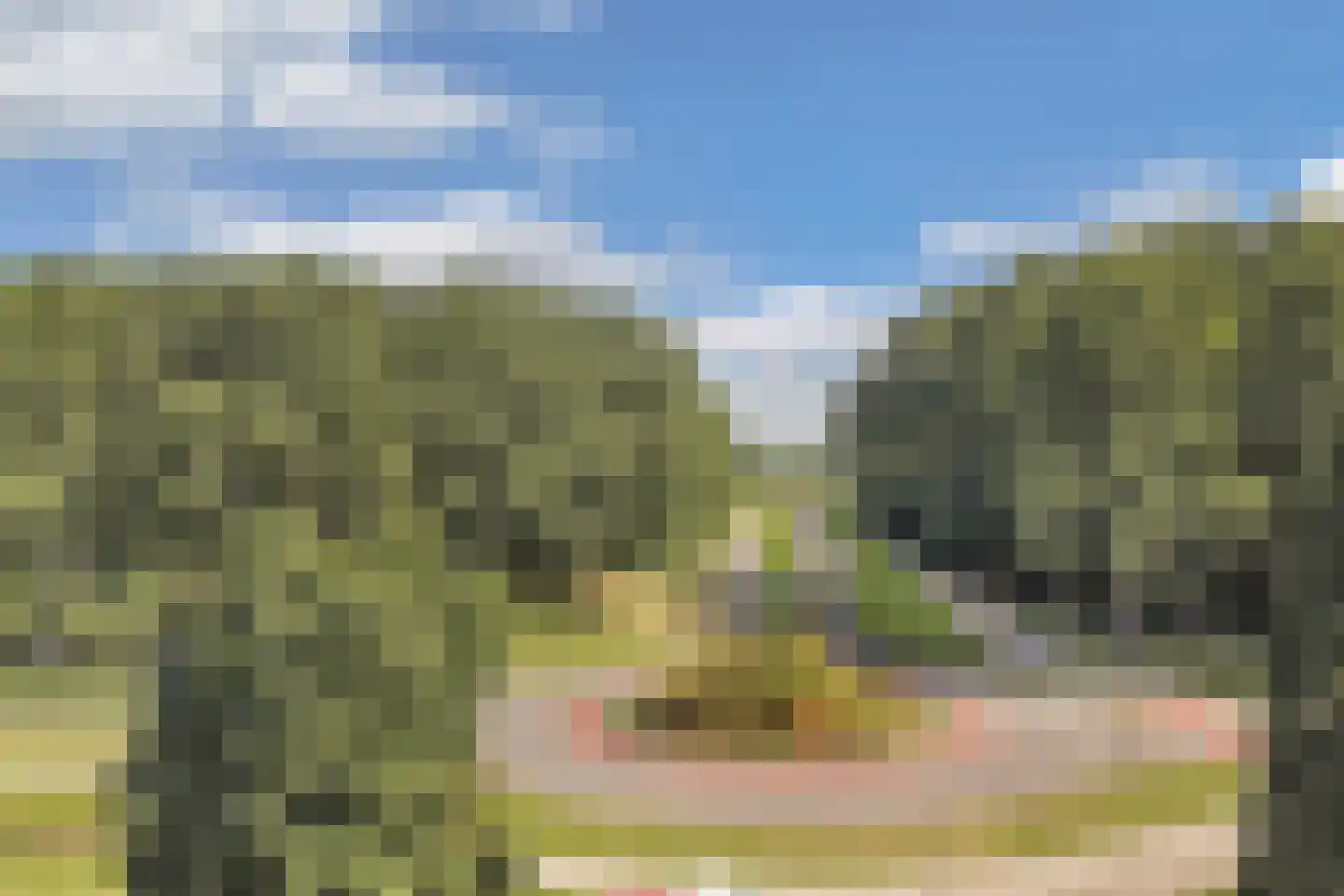 Het Spectrum 116 Dronten thumbnail 14