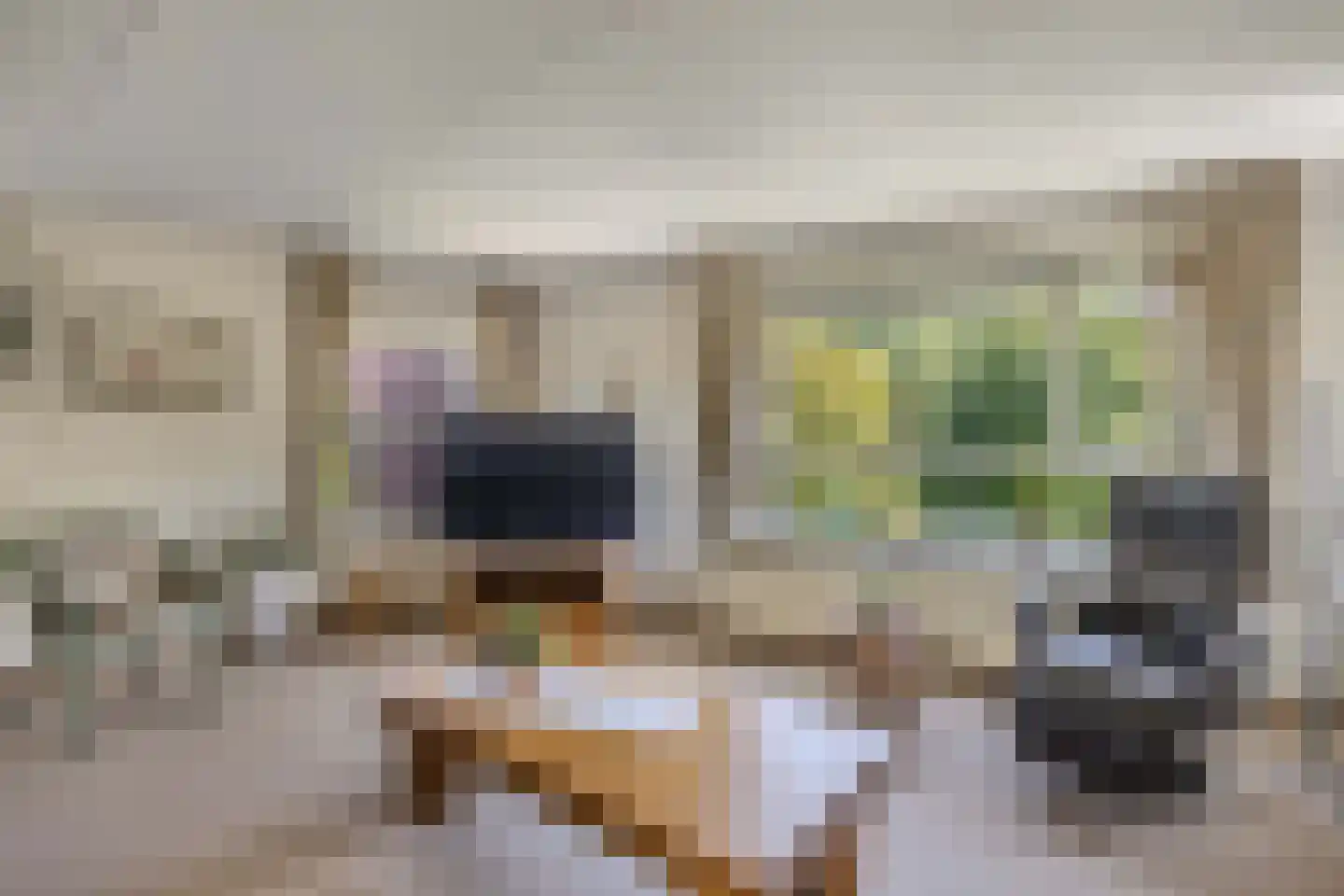 Het Spectrum 116 Dronten thumbnail 28