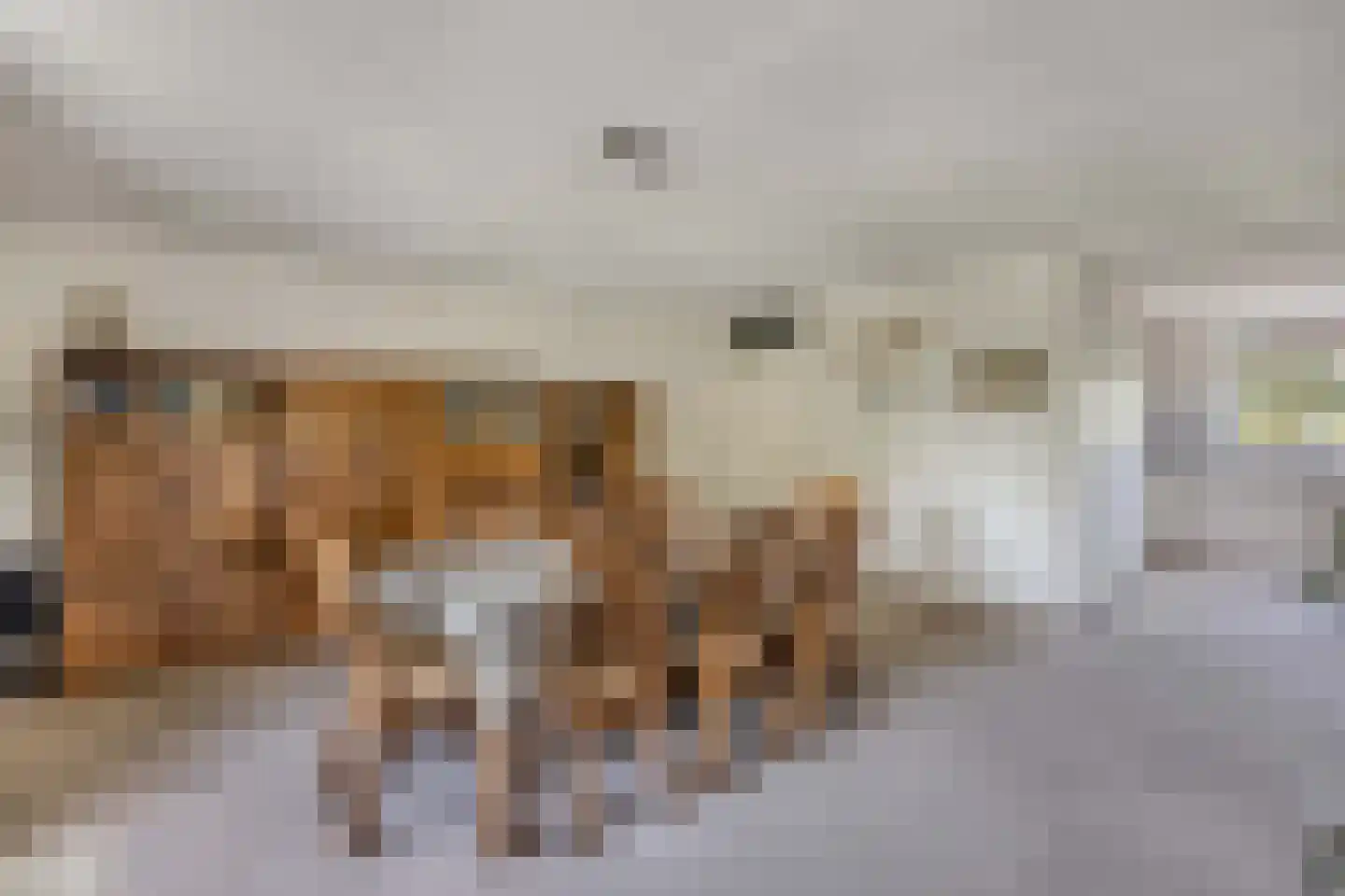 Het Spectrum 116 Dronten thumbnail 35