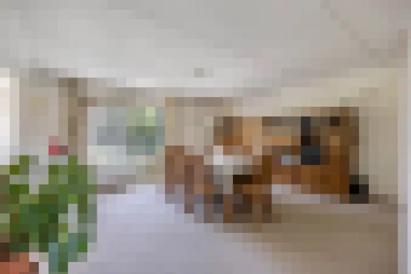 Het Spectrum 116 Dronten thumbnail 36