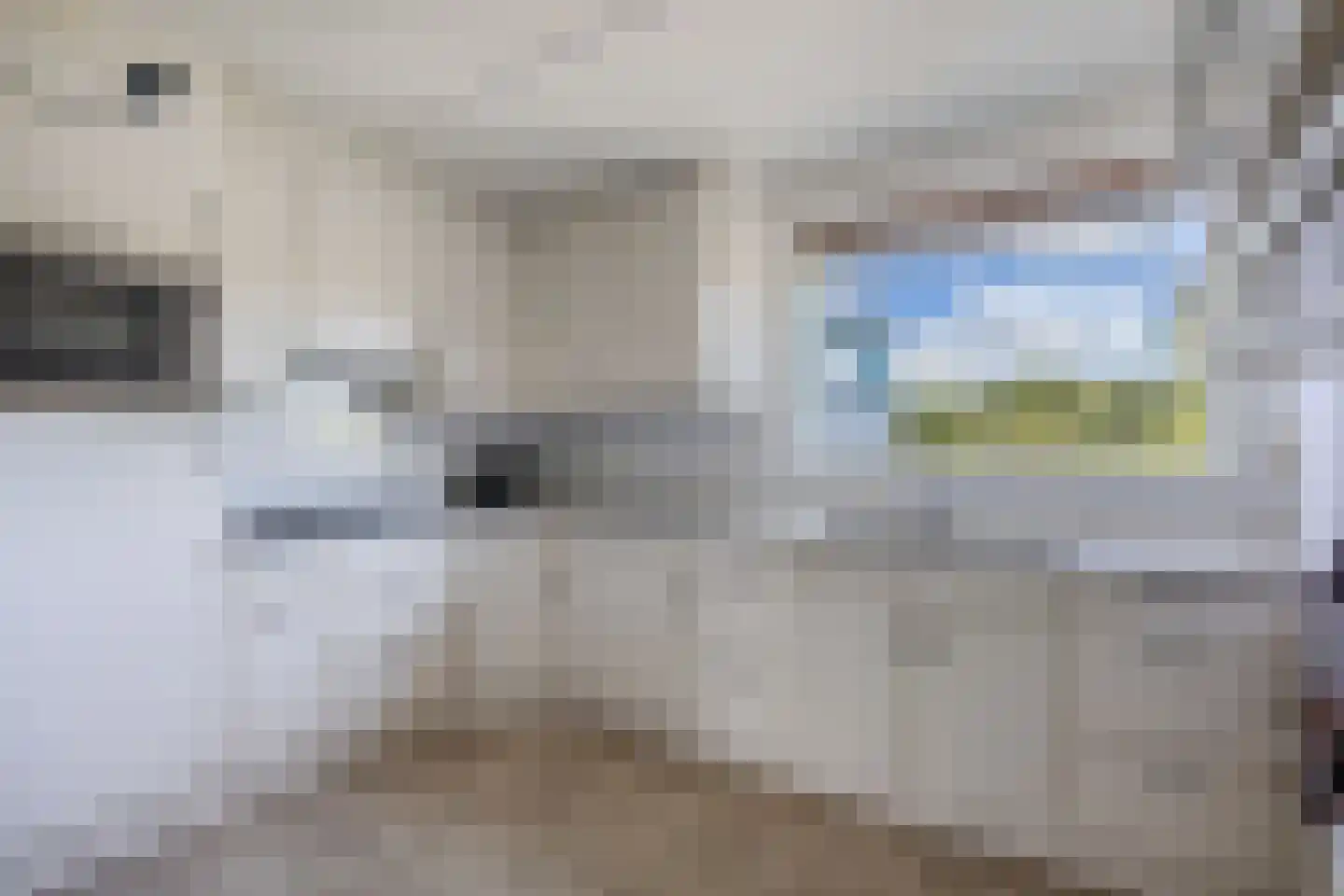Het Spectrum 116 Dronten thumbnail 38