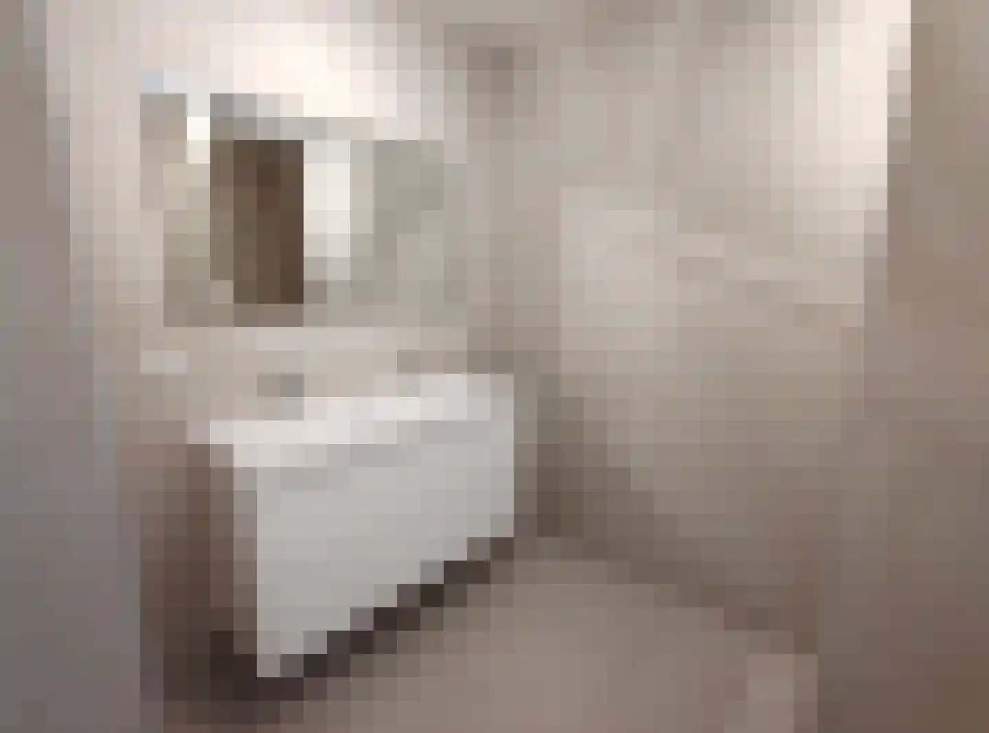 Het Spectrum 18 Dronten thumbnail 21