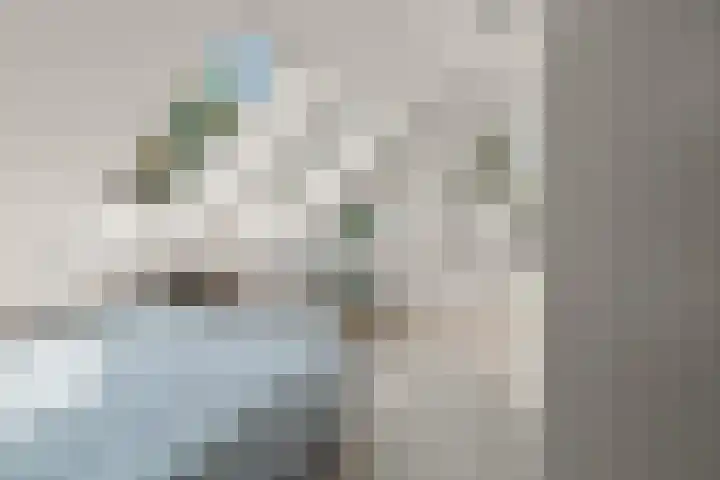 Het Spijk 20 Huizen thumbnail 10
