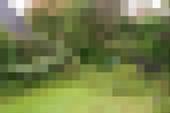 Het Spijk 20 Huizen thumbnail 19