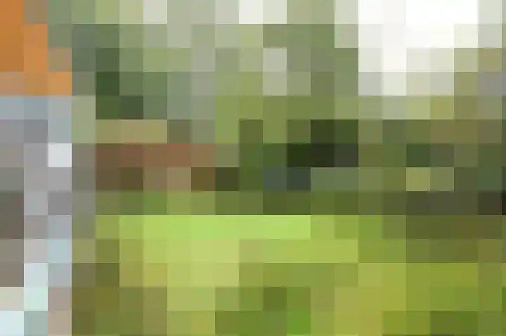 Het Spijk 20 Huizen thumbnail 20