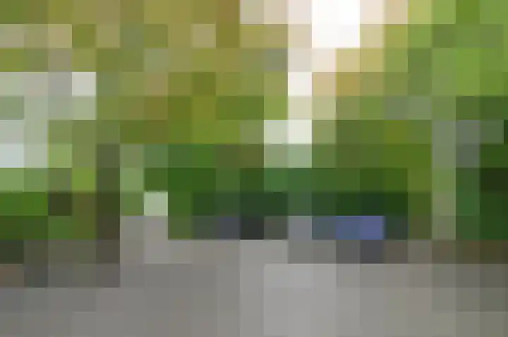 Het Spijk 20 Huizen thumbnail 21