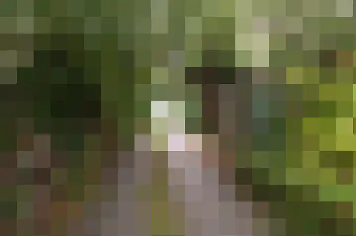 Het Spijk 20 Huizen thumbnail 4