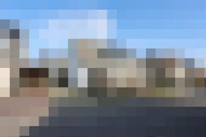 Het Spint 12 Dronten