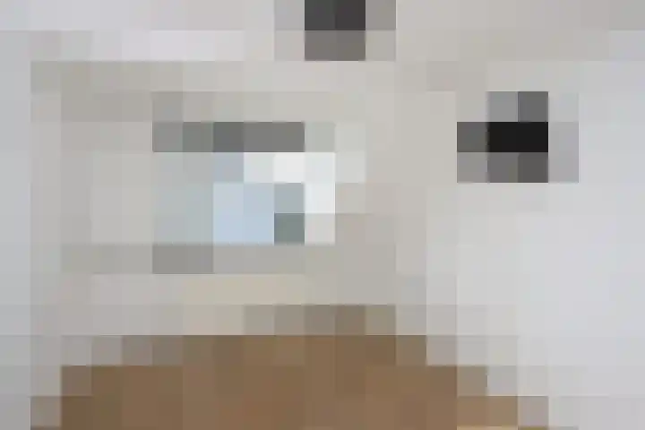 Het Spint 12 Dronten thumbnail 14