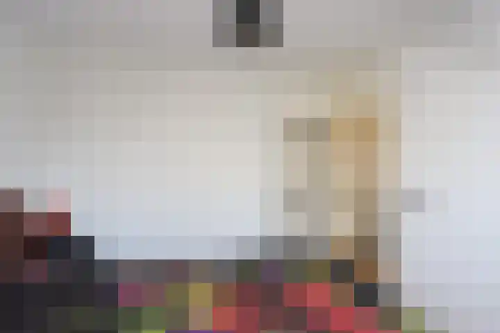 Het Spint 12 Dronten thumbnail 17