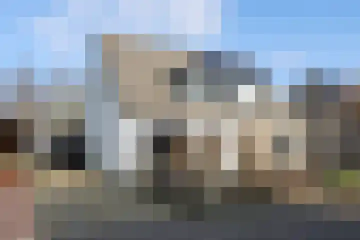 Het Spint 12 Dronten foto 2