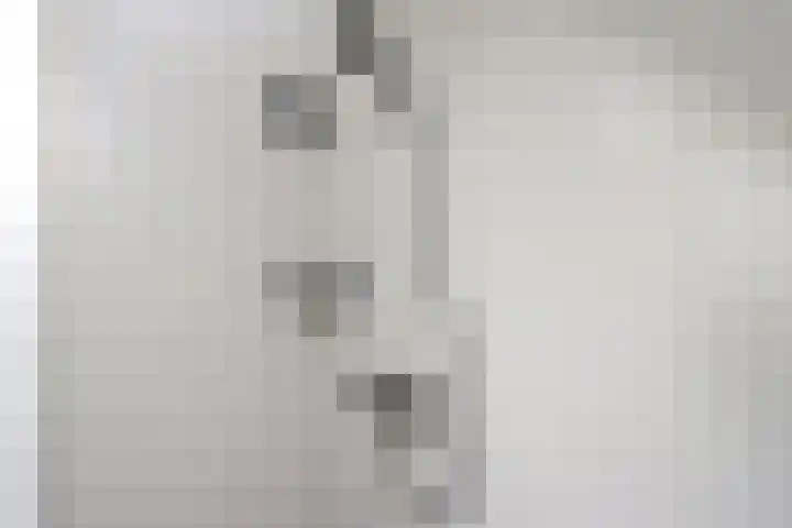 Het Spint 12 Dronten thumbnail 20