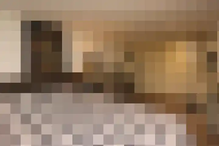 Het Spint 12 Dronten thumbnail 23