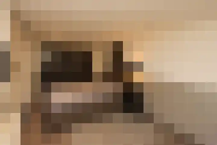 Het Spint 12 Dronten thumbnail 24