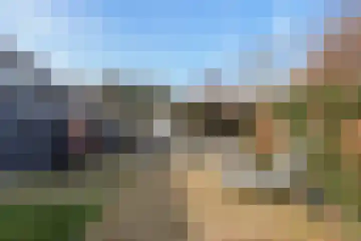 Het Spint 12 Dronten thumbnail 28