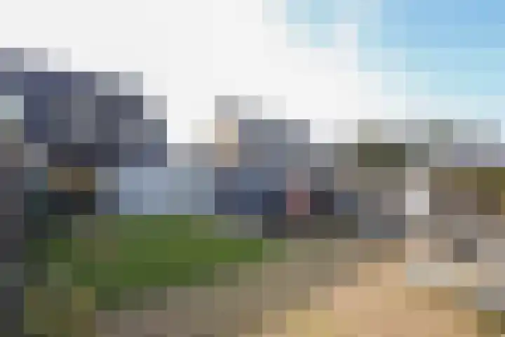 Het Spint 12 Dronten thumbnail 29