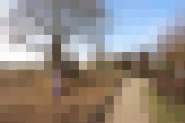 Het Spint 12 Dronten thumbnail 30