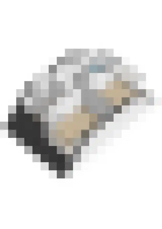 Het Spint 12 Dronten thumbnail 34