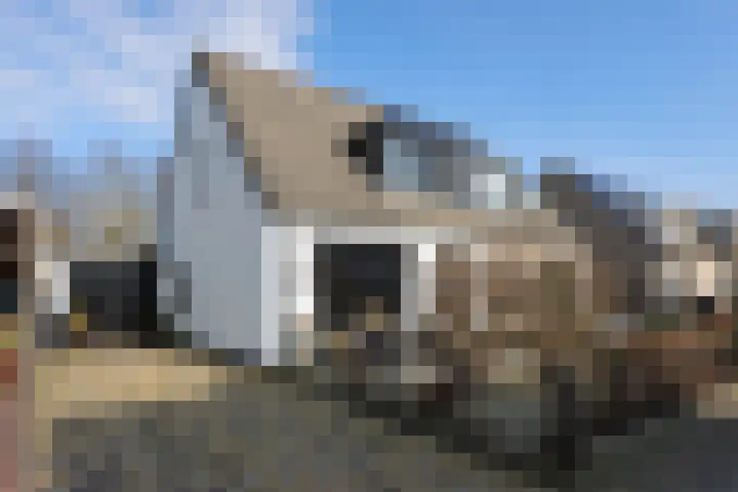 Het Spint 12 Dronten thumbnail 5